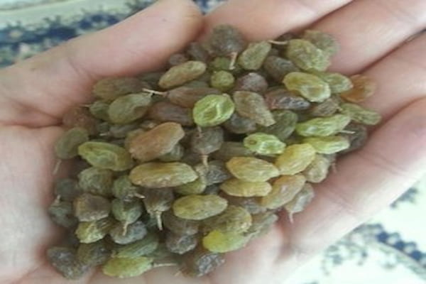 تصویر 5 از خرید کشمش سایه خشک ملایر + قیمت فروش استثنایی
